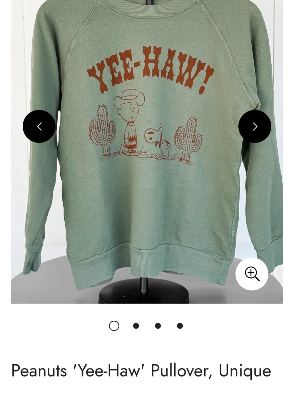 People of Leisure Peanuts 'Yee-Haw' Roundup Sage Pullover Sweater Western Med